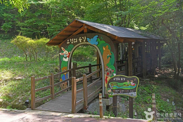 금산생태숲 여행 추천 - 메고지고