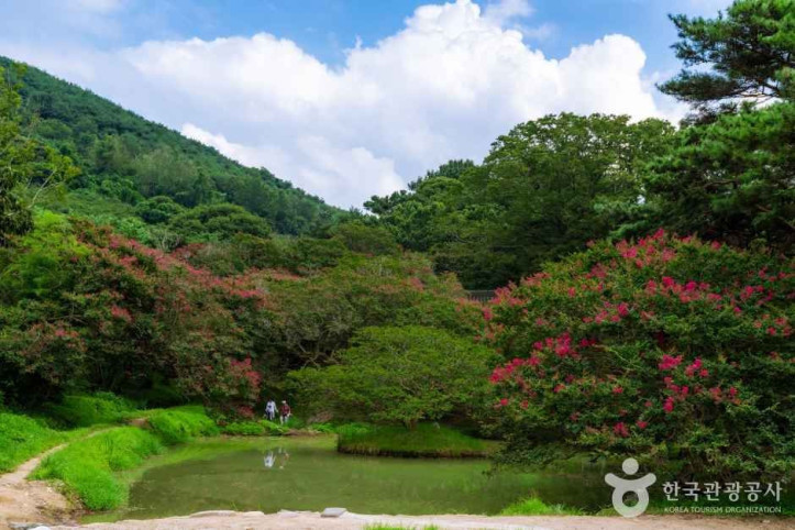 담양 명옥헌 원림 여행 추천 - 메고지고