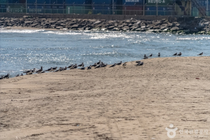 옥계해변 여행 추천 - 메고지고