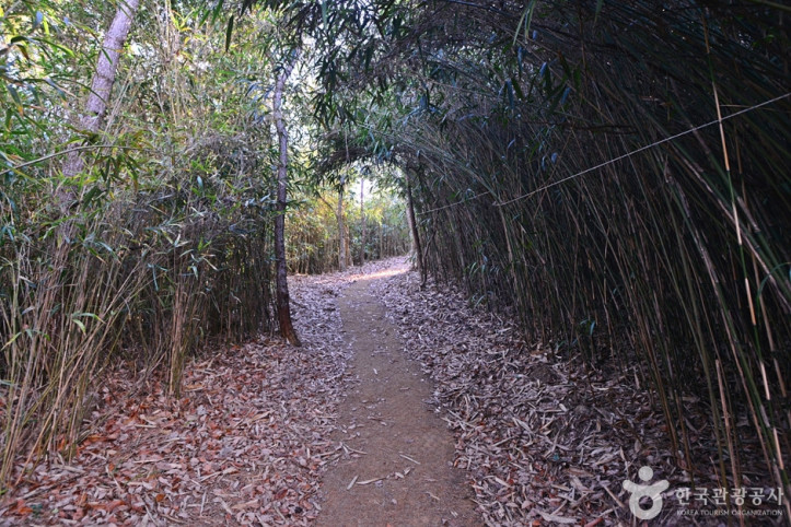 소삼도 여행 추천 - 메고지고