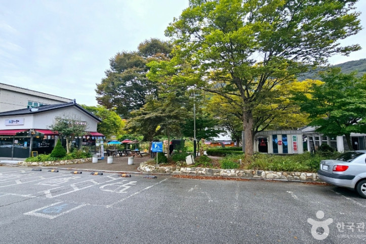 선운산 생태숲 여행 추천 - 메고지고