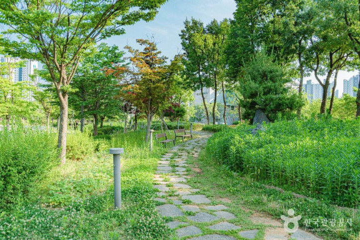 한강중앙공원 여행 추천 - 메고지고