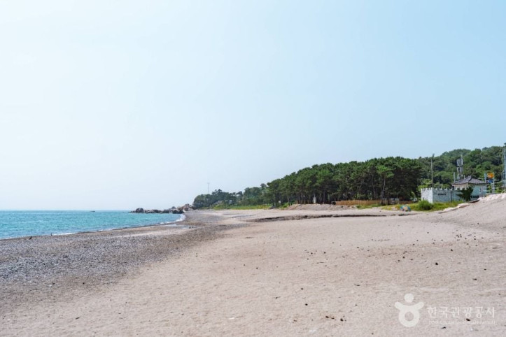 봉길대왕암해변 여행 추천 - 메고지고