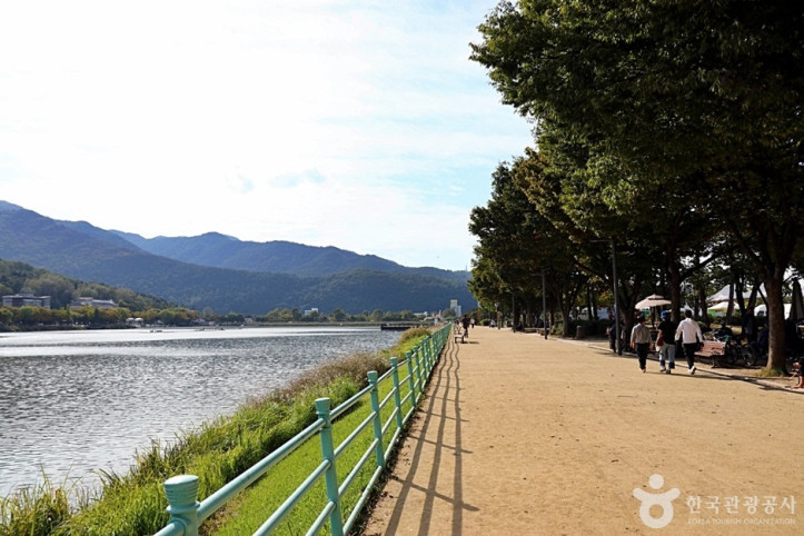 수성못상화동산 여행 추천 - 메고지고
