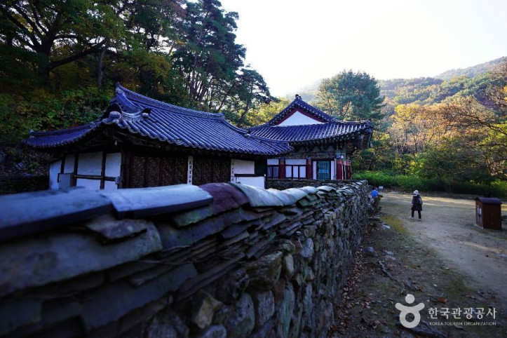 갑사 여행 추천 - 메고지고