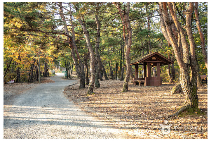 운제산 여행 추천 - 메고지고