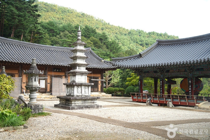 천은사(삼척) 여행 추천 - 메고지고