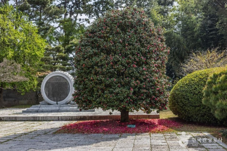 충렬사(부산) 여행 추천 - 메고지고