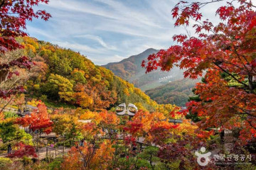 곤지암리조트 콘도미니엄 여행 추천 - 메고지고