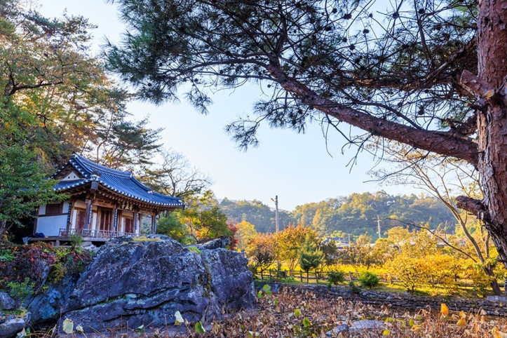 주암정 여행 추천 - 메고지고