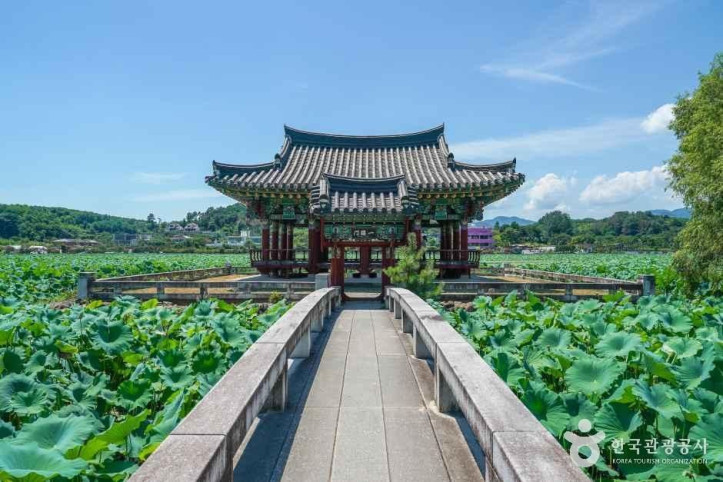 유등연지 여행 추천 - 메고지고