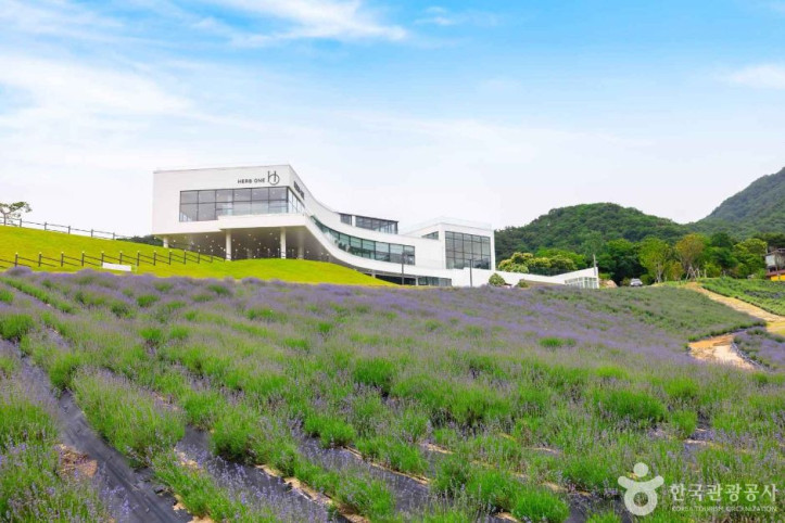 정읍 허브원 여행 추천 - 메고지고
