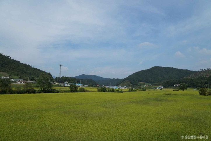 양평 옹달샘꽃누름마을 여행 추천 - 메고지고