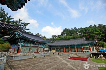 대전목재문화체험장 여행 추천 - 메고지고