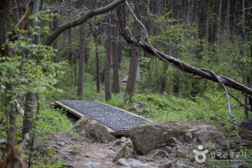 유석사(영주) 여행 추천 - 메고지고