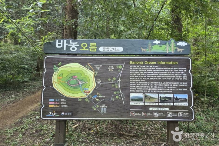 바늘오름 여행 추천 - 메고지고