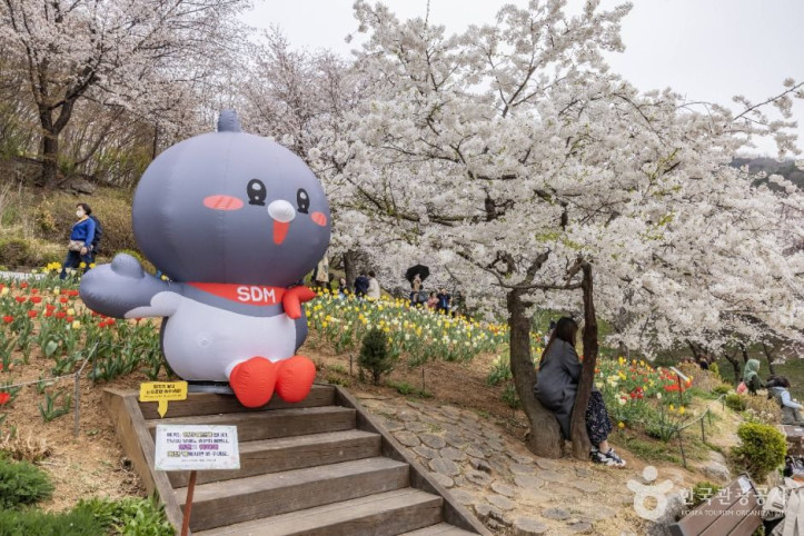 연희숲속쉼터 여행 추천 - 메고지고