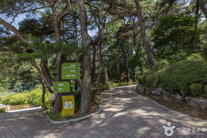 청주동물원 여행 추천 - 메고지고