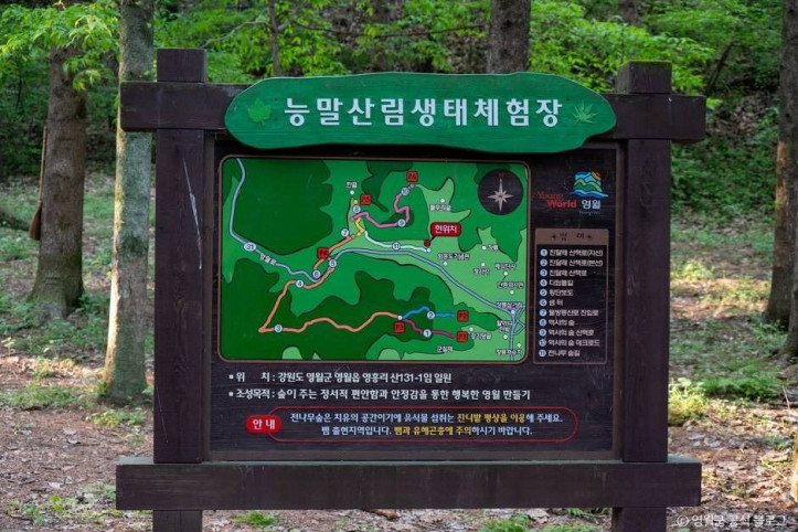 물무리골생태습지 여행 추천 - 메고지고