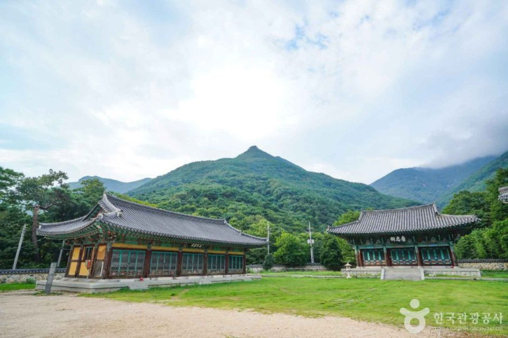 표충서원 여행 추천 - 메고지고