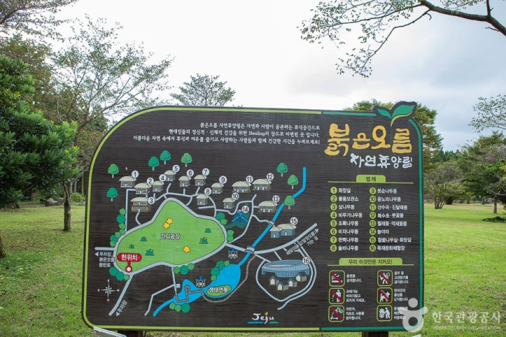 붉은오름자연휴양림 여행 추천 - 메고지고