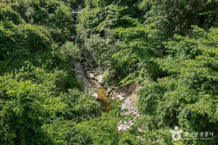 동산계곡 여행 추천 - 메고지고