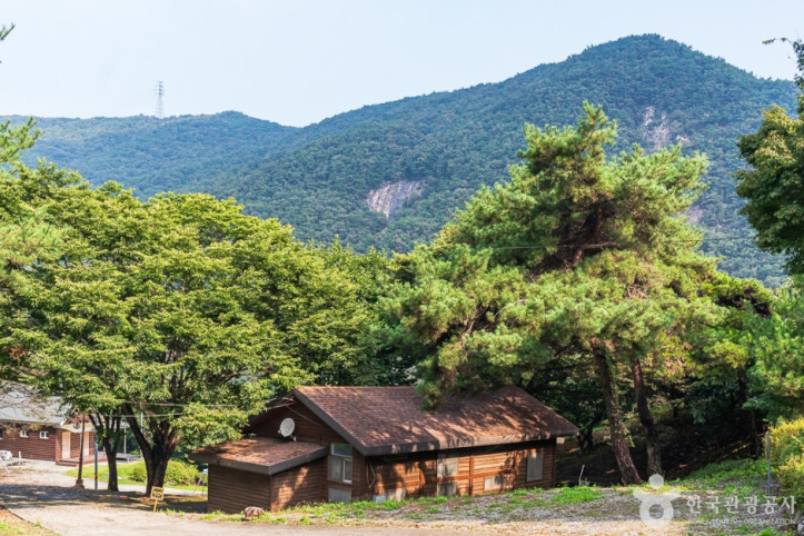 봉황자연휴양림 여행 추천 - 메고지고