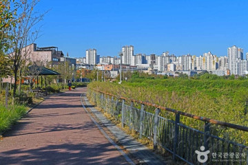 김포한강야생조류생태공원 여행 추천 - 메고지고