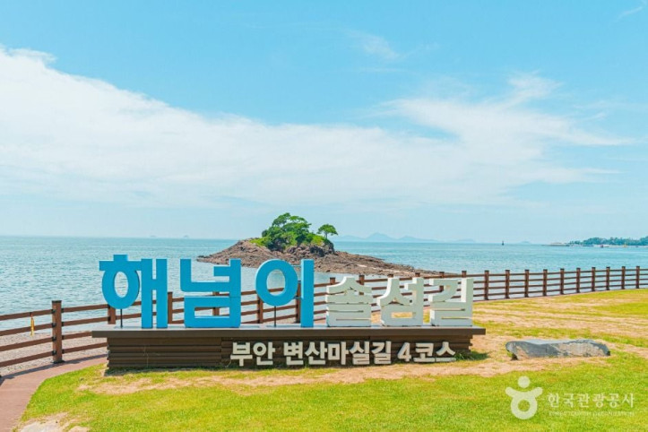 부안 솔섬 여행 추천 - 메고지고