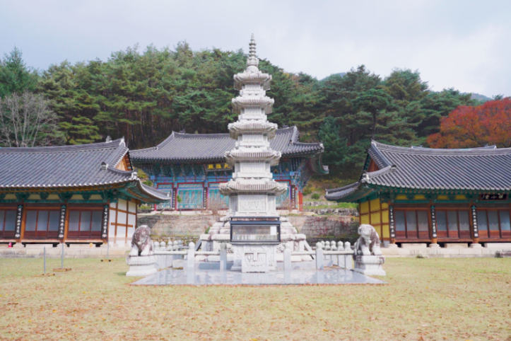 공림사 여행 추천 - 메고지고
