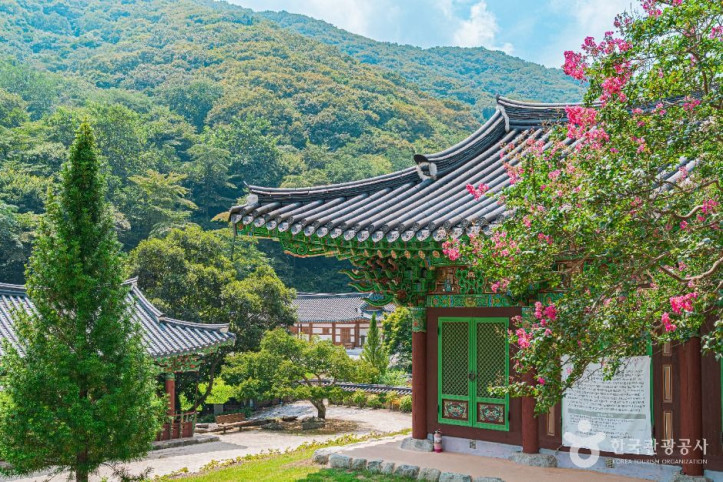 불회사(나주) 여행 추천 - 메고지고