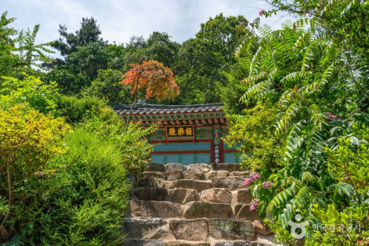 청룡사(상주) 여행 추천 - 메고지고