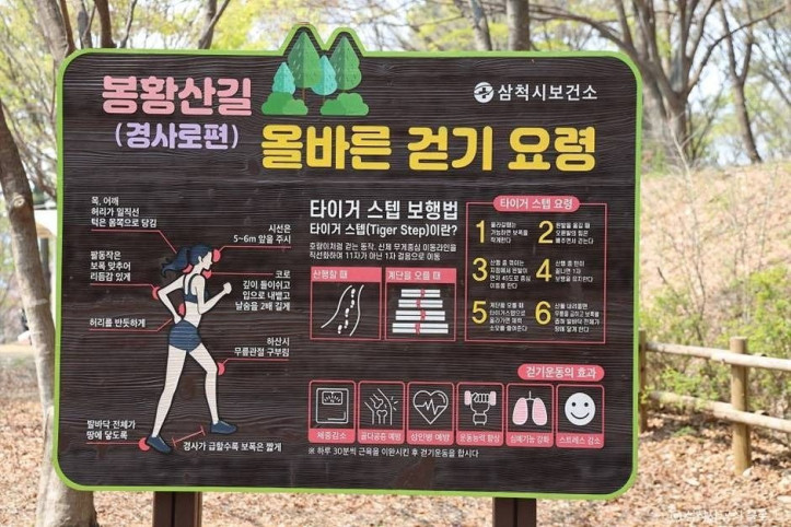 봉황산산림욕장 여행 추천 - 메고지고