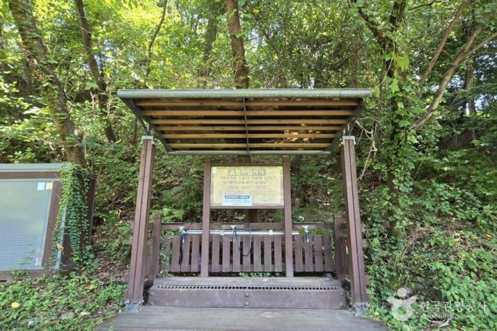 대천천 여행 추천 - 메고지고