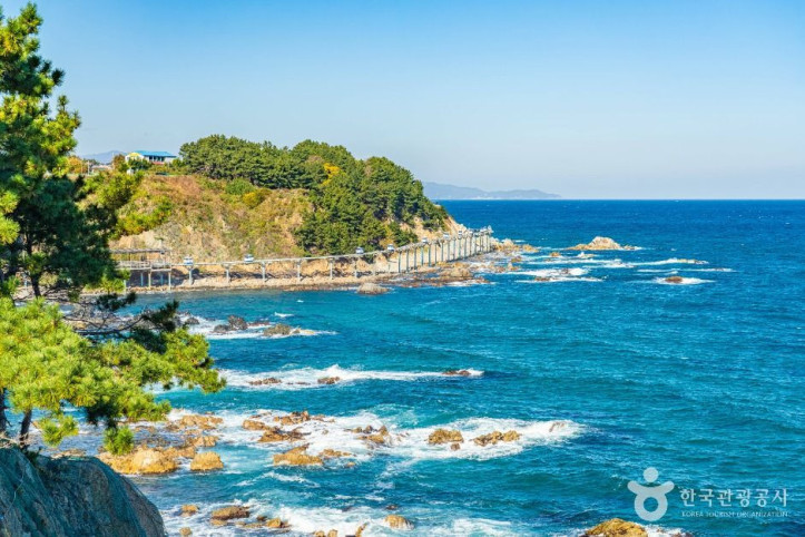 죽변 등대 여행 추천 - 메고지고