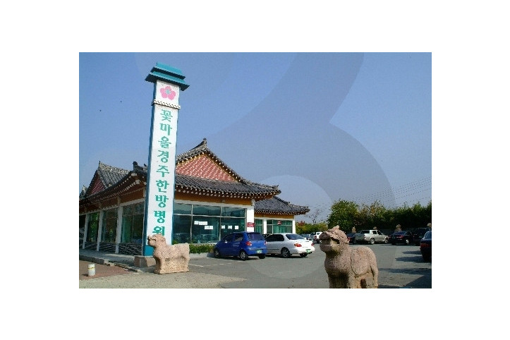 꽃마을 경주한방병원 여행 추천 - 메고지고