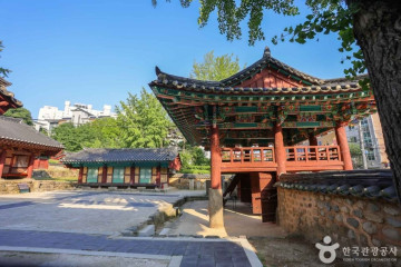 법륜사(부산) 여행 추천 - 메고지고