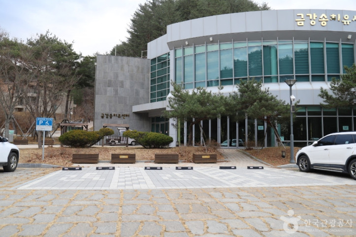 금강송 에코리움 여행 추천 - 메고지고
