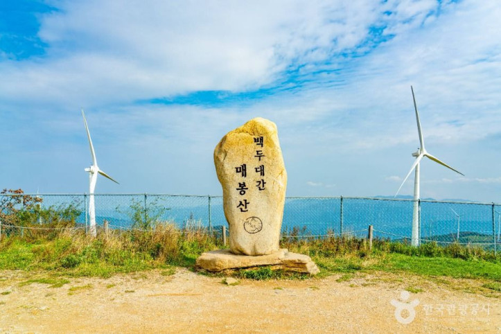 매봉산풍력발전단지(바람의 언덕) 여행 추천 - 메고지고