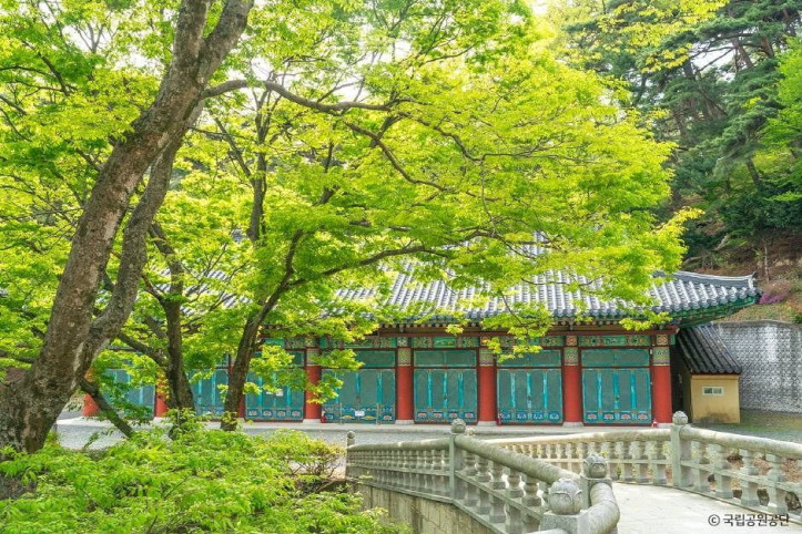 파계사 여행 추천 - 메고지고