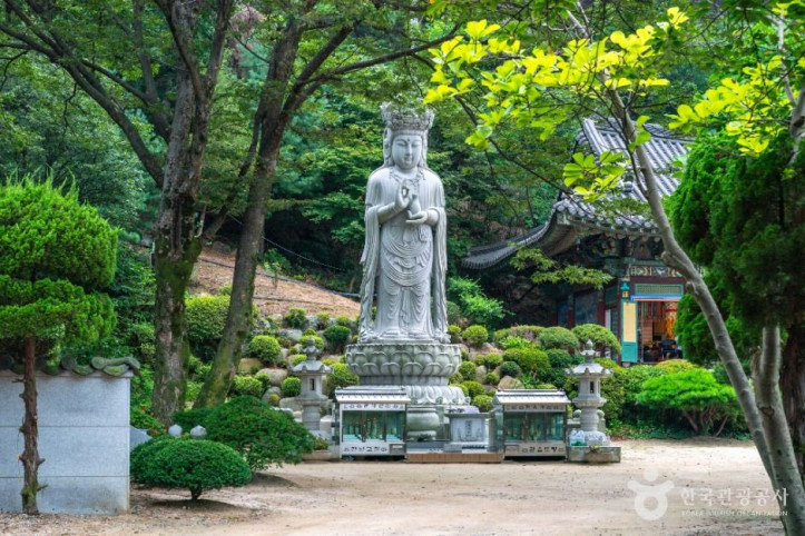 관음사(서울) 여행 추천 - 메고지고