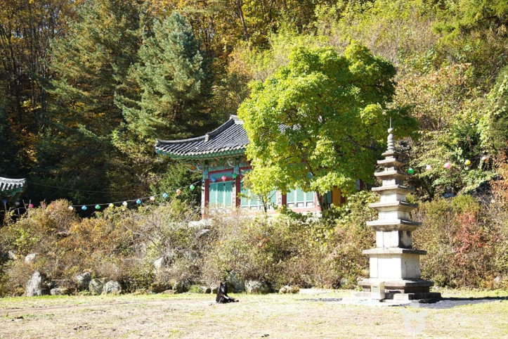 화악산 여행 추천 - 메고지고