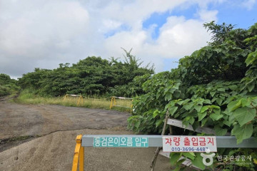 제주자연생태공원 여행 추천 - 메고지고