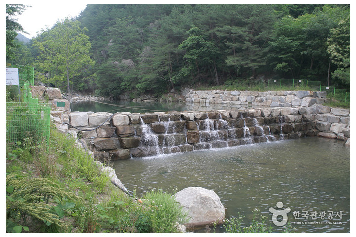 선유동계곡(산청) 여행 추천 - 메고지고