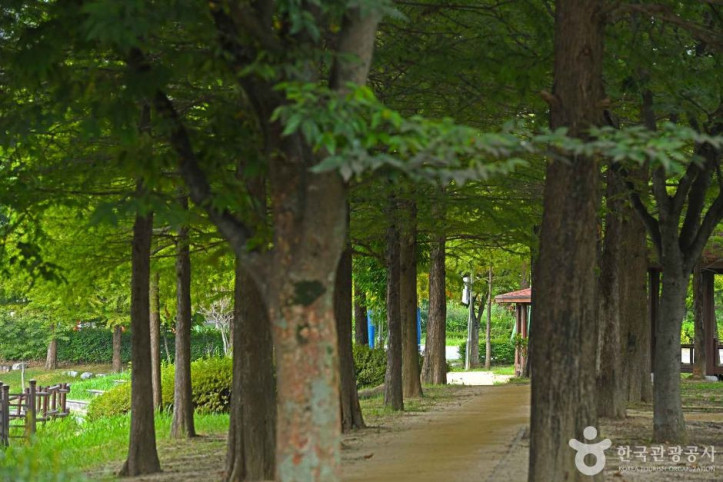 둔산공원 여행 추천 - 메고지고