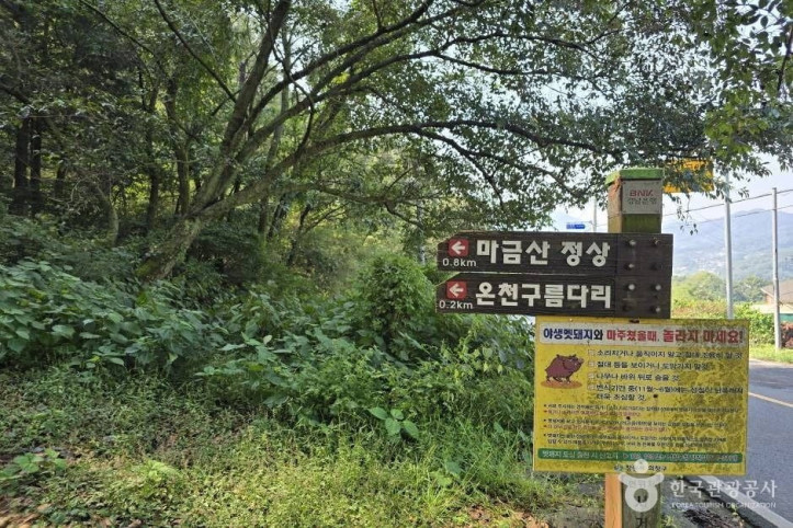 마금산 여행 추천 - 메고지고