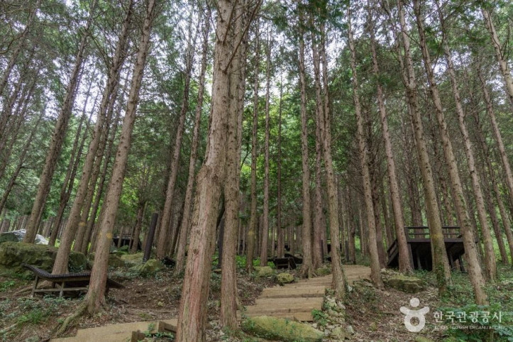 용두공원 여행 추천 - 메고지고