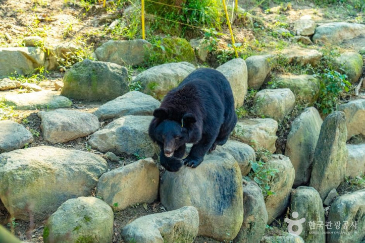지리산 반달가슴곰 공존센터 여행 추천 - 메고지고