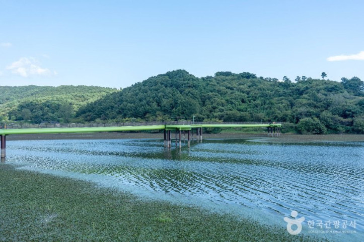 봉선저수지 여행 추천 - 메고지고