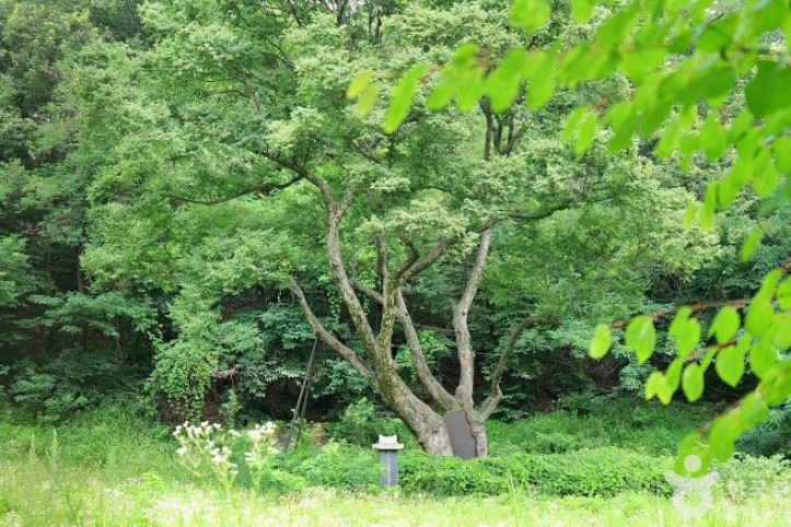 도봉서원(서울) 여행 추천 - 메고지고
